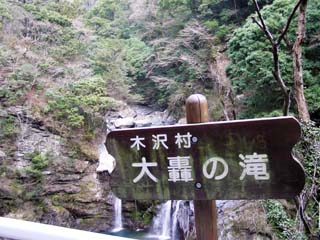 �V�������D