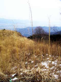 �R�쒬