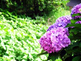 ��o�}��
