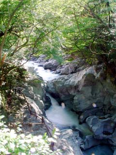 �y��