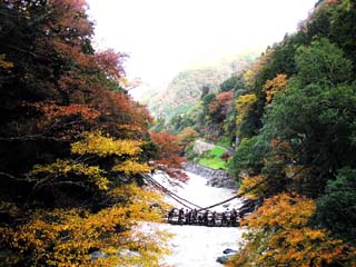 �c�J�̂����狴