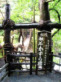 �鋫 �c�J�����狴