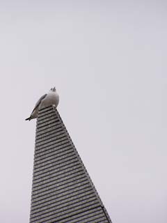 ��