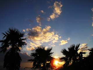 �숢�g�T�����C���@��O�W�]��