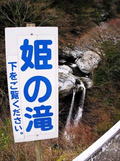 �P�̑�