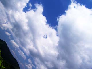 �܌�����