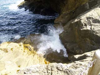 �g���ӂ���