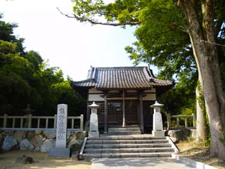 �F�쌠����