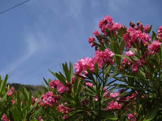 �L���E�`�N�g�E